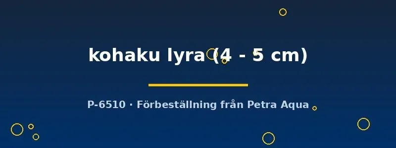 Näsets Ciklidhobby helleri kohaku lyra svärdbärare 4–5 cm