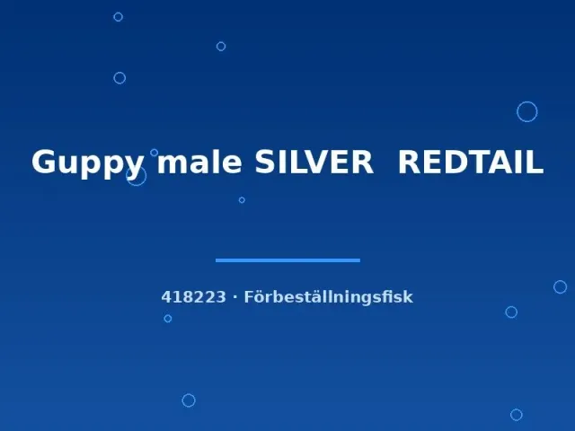 Näsets Ciklidhobby Guppy silver redtail guppy lg hane röd
