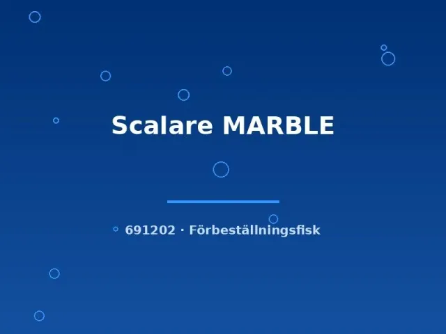 Näsets Ciklidhobby Scalare MARBLE skalar md