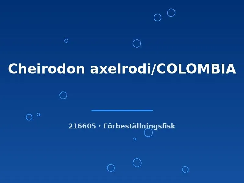 Näsets Ciklidhobby Cheirodon axelrodi Colombia lg tetra stimfisk