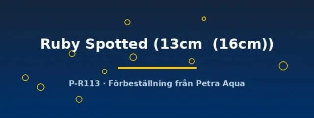 Näsets Diskus Ruby Spotted 13–16 cm prickig
