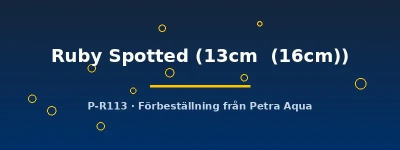 Näsets Diskus Ruby Spotted 13–16 cm prickig