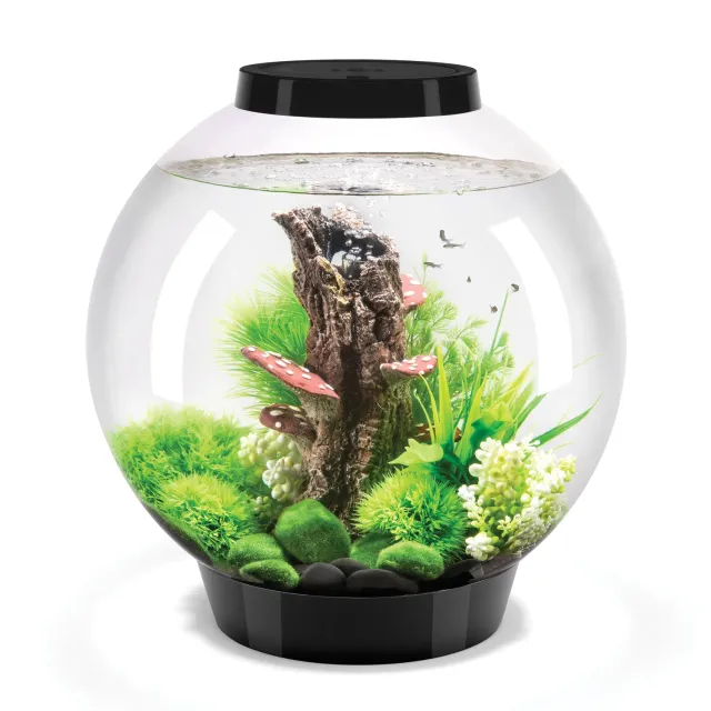 biOrb Classic 30 akvarium 30 liter svart standardljus