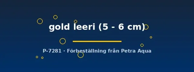Näsets Trichogaster gold leeri gurami 5–6 cm guld