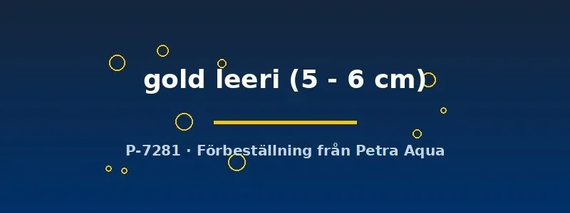 Näsets Trichogaster gold leeri gurami 5–6 cm guld