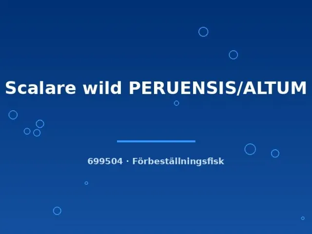 Näsets Ciklidhobby Scalare wild Peruensis Altum akvariefisk lg