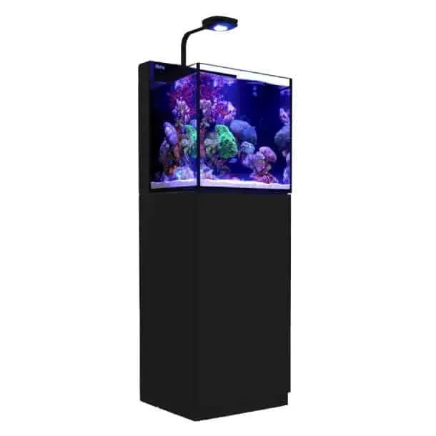 Näsets Ciklidhobby Nano Max 75L akvarieset svart ramlöst