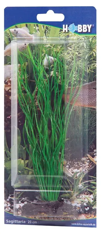 Hobby Sagittaria dekorväxt 20 cm plastväxt akvarium