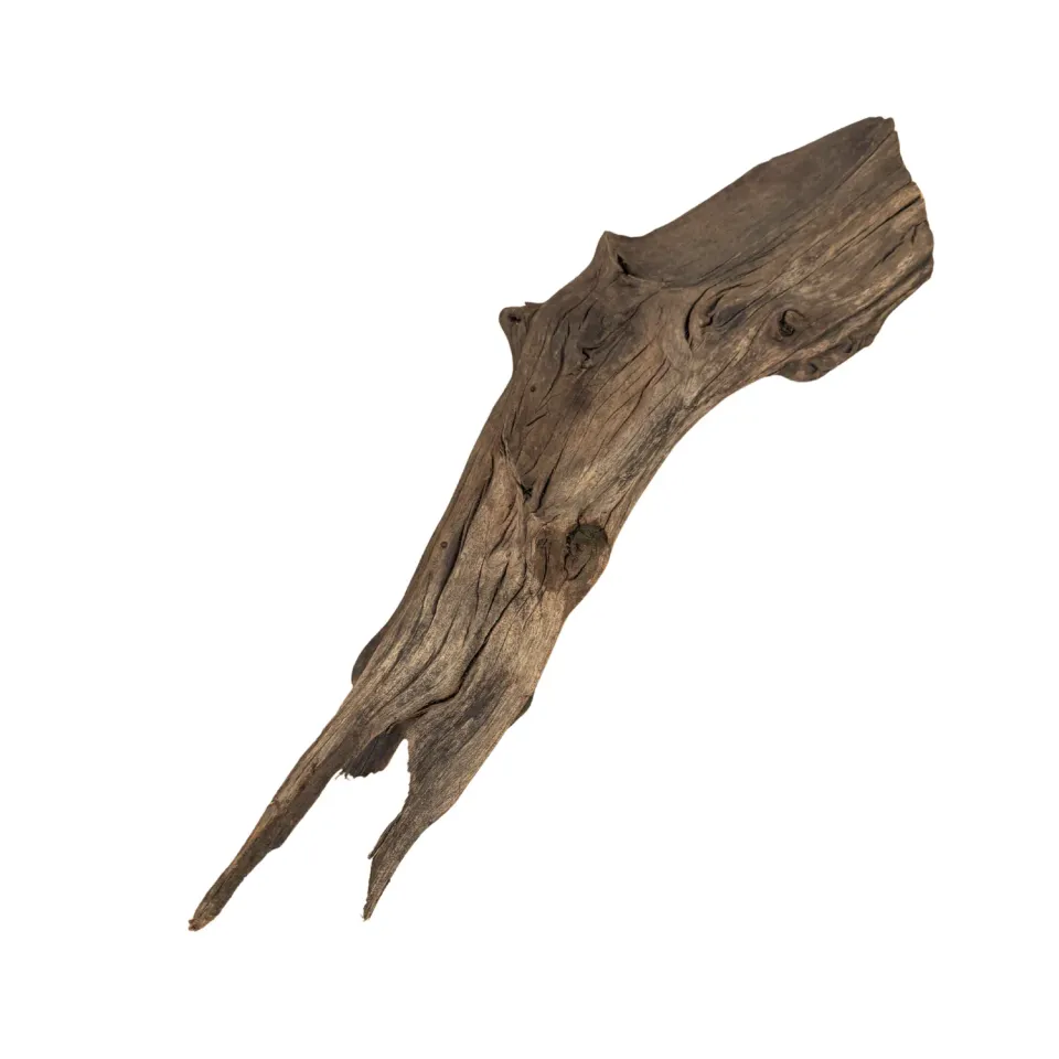 Marlenes Zookällare Mangroverot akvarierot Large 30–50 cm