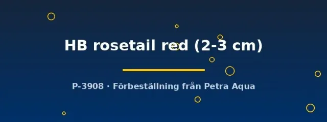 Näsets Ciklidhobby HB rosetail red guppy par 2–3 cm