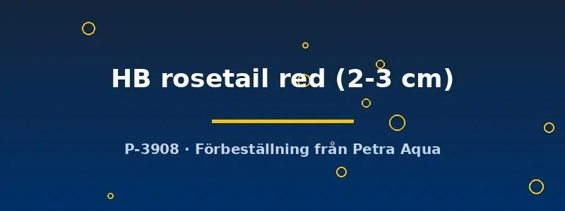 Näsets Ciklidhobby HB rosetail red guppy par 2–3 cm