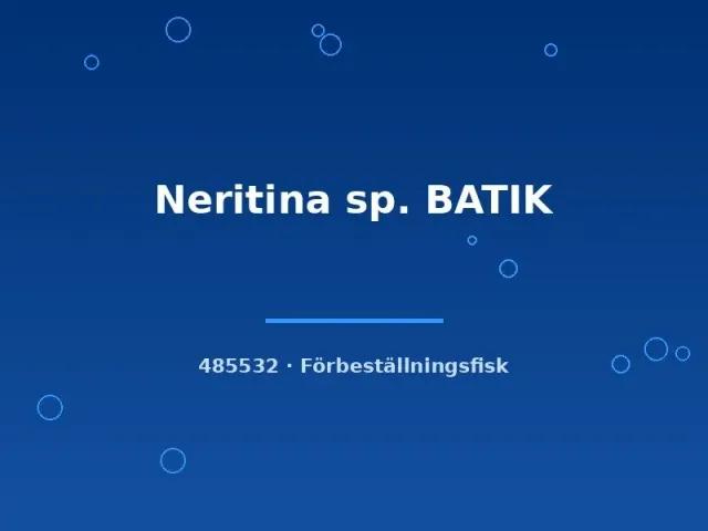 Näsets Ciklidhobby batiksnäcka Neritina md algätare