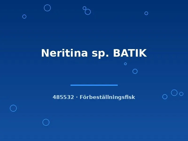 Näsets Ciklidhobby batiksnäcka Neritina md algätare