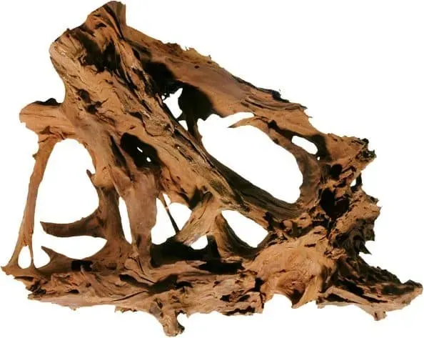 Mangroverot naturlig akvariedekor 40–55 cm