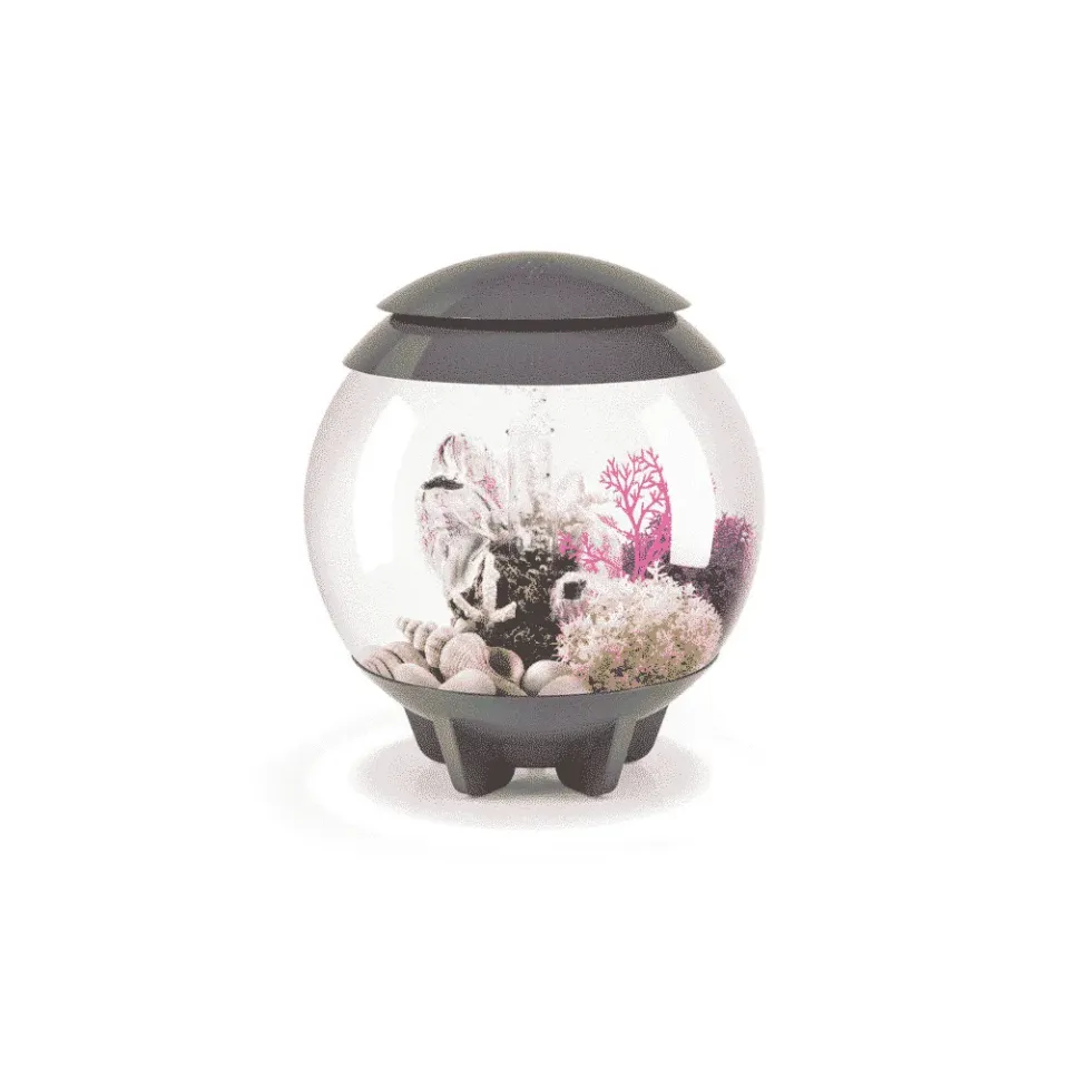 biOrb HALO 15 MCR akvarium 15 liter grå LED