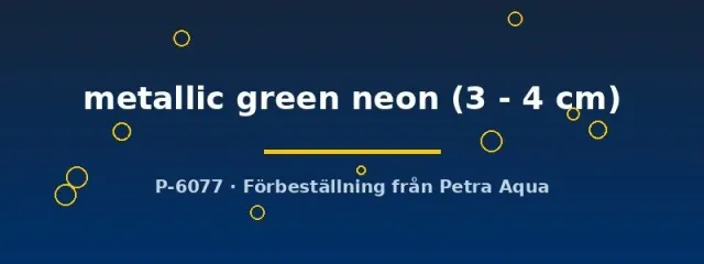 Näsets Ciklidhobby Guppy Green Neon akvariefisk hane 3–4 cm metallic