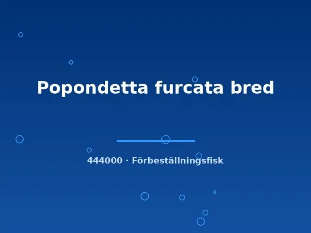 Näsets Ciklidhobby Popondetta furcata fisk s regnbåge