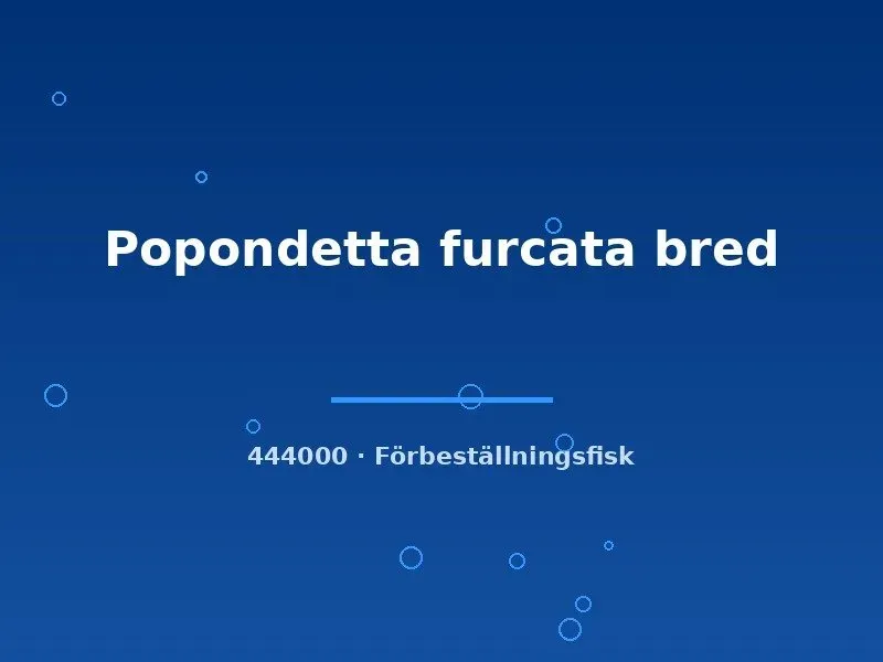 Näsets Ciklidhobby Popondetta furcata fisk s regnbåge