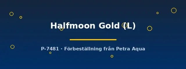 Näsets Ciklidhobby Halfmoon Gold kampfisk L par