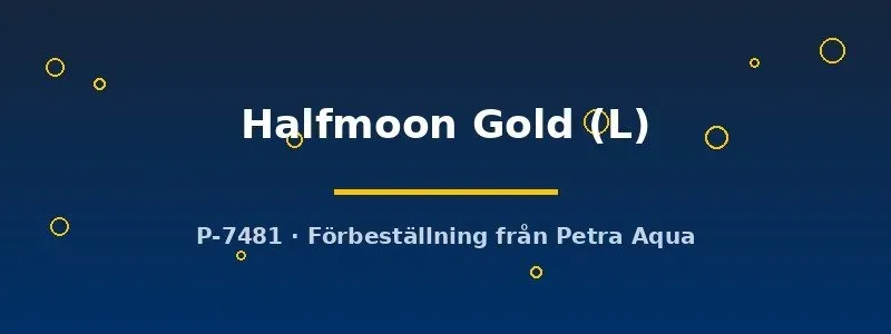 Näsets Ciklidhobby Halfmoon Gold kampfisk L par