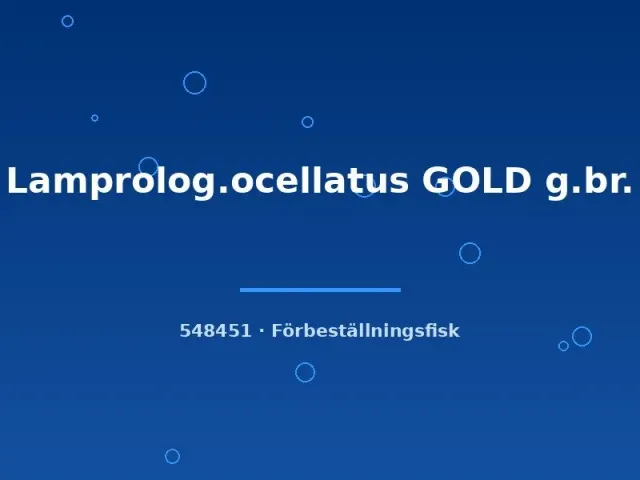 Lamprologus ocellatus Gold snäckciklid 2–3 cm