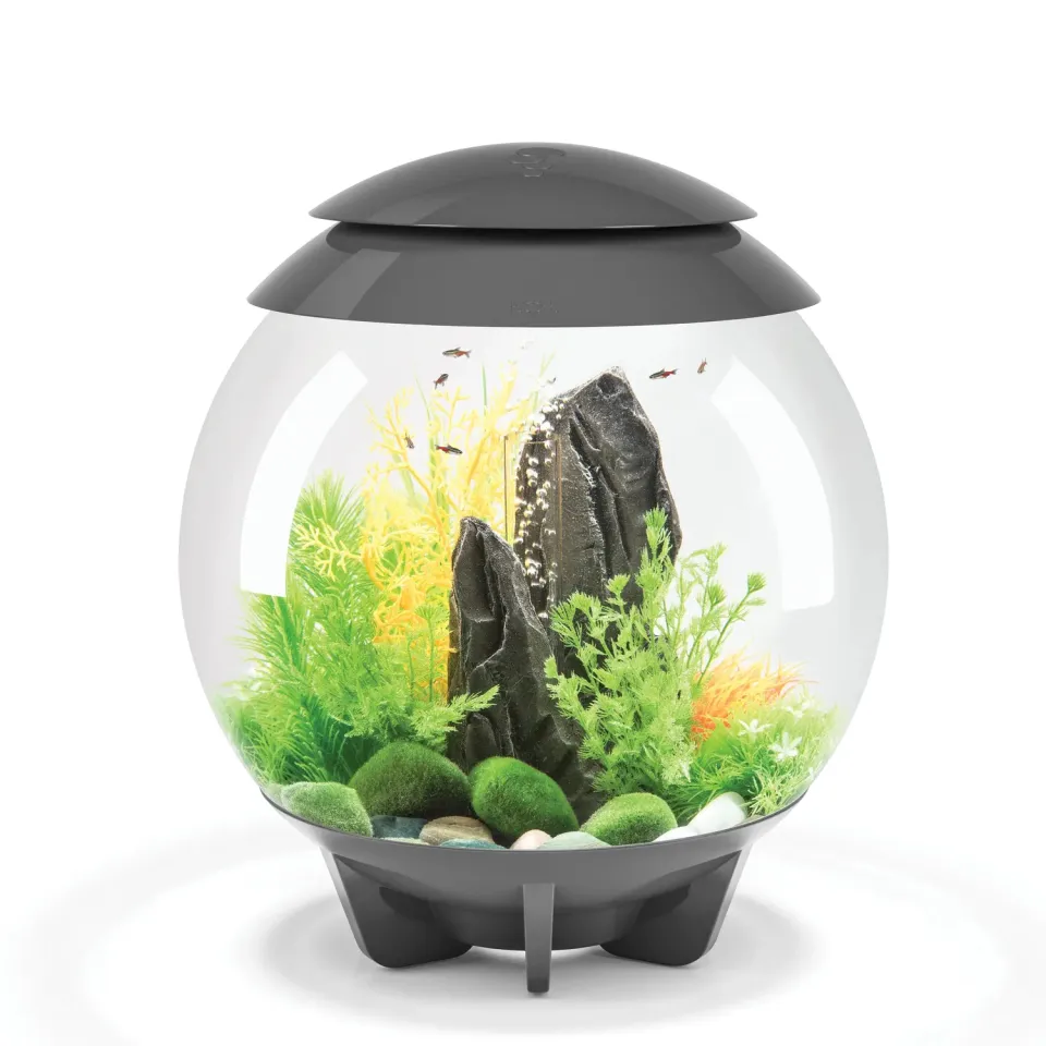 biOrb Slate Sensation Bundle akvariedekoration paket