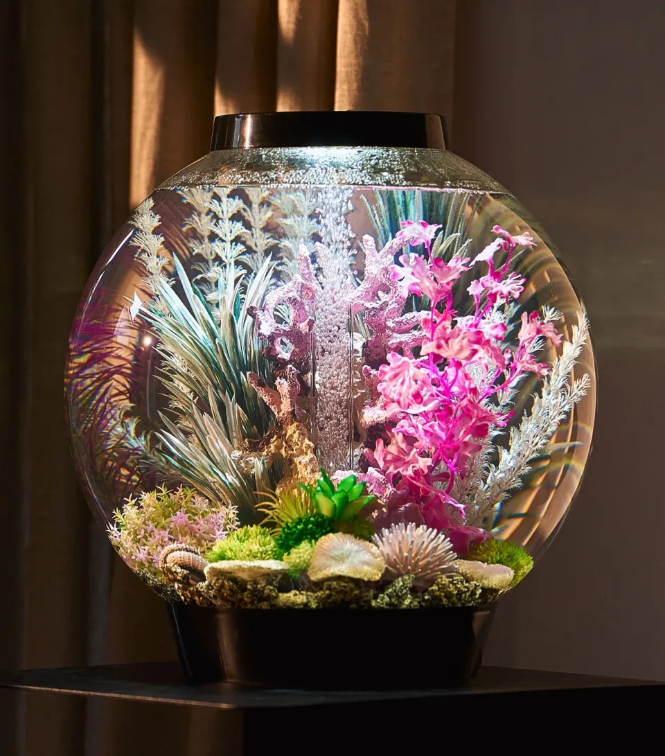 biOrb Classic 30 akvarium Rose Lit Reef 30 liter LED