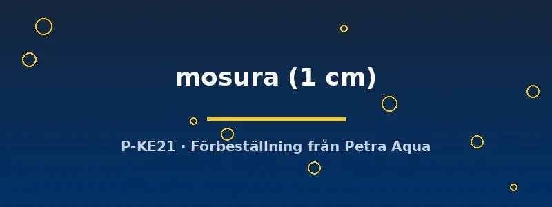 Näsets Ciklidhobby Caridina mosura räka 1 cm vit