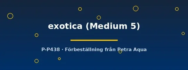Hemigraphis exotica Medium5 akvariefisk Medium förbeställning