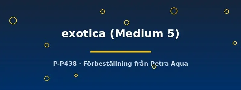 Hemigraphis exotica Medium5 akvariefisk Medium förbeställning