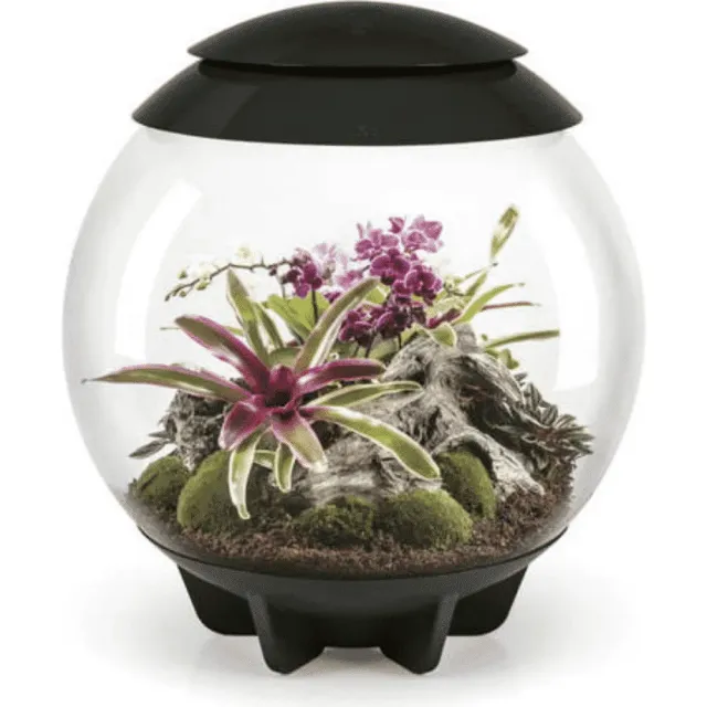biOrb AIR 60 terrarium svart