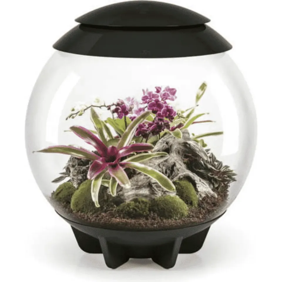 biOrb AIR 60 terrarium svart
