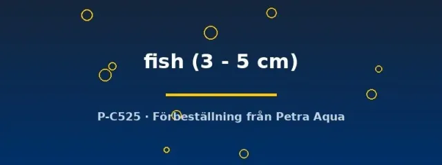 Näsets Ciklidhobby Bait fish foderfisk 3–5 cm levande