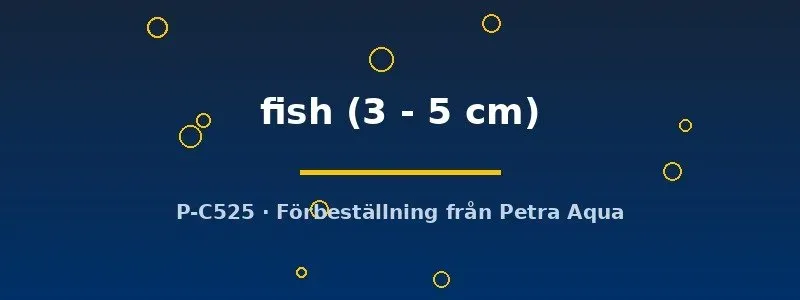 Näsets Ciklidhobby Bait fish foderfisk 3–5 cm levande