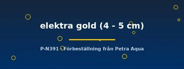 Näsets Ciklidhobby Cyrtocara elektra gold ciklid 4–5 cm malawi