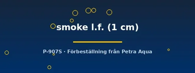 Pterophyllum scalare smoke skalar 1 cm långfenad
