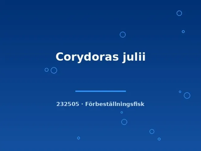 Näsets Ciklidhobby Corydoras julii pansarmal lg