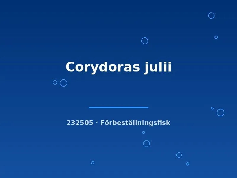 Näsets Ciklidhobby Corydoras julii pansarmal lg