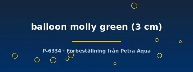 Näsets Ciklidhobby balloon green molly 3 cm