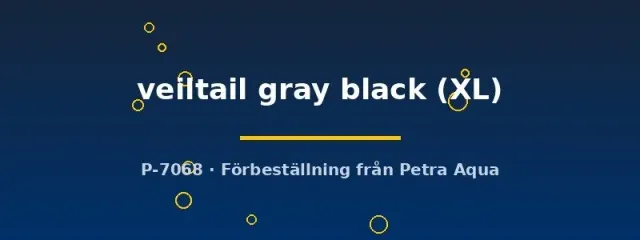 Näsets Ciklidhobby Betta Veiltail kampfisk XL gråsvart