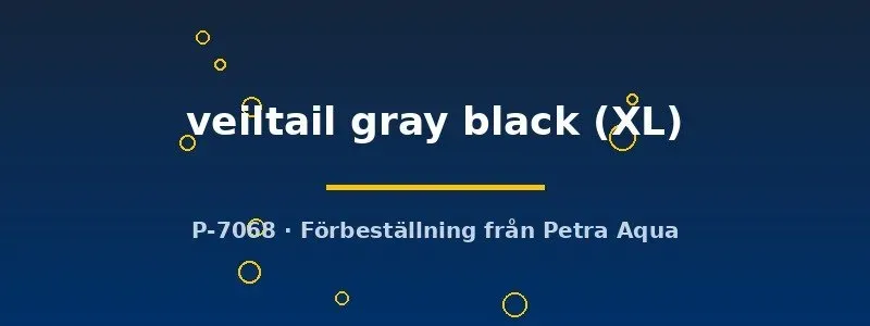 Näsets Ciklidhobby Betta Veiltail kampfisk XL gråsvart