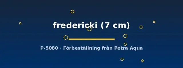 Näsets Ciklidhobby Melanotaenia fredericki fisk 7 cm