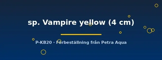 Näsets Ciklidhobby Vampire Yellow krabba 4 cm gul