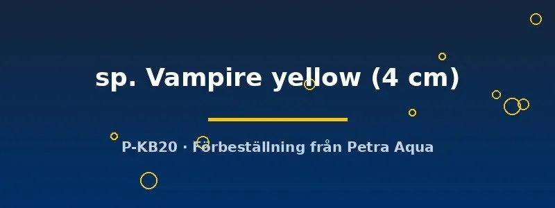 Näsets Ciklidhobby Vampire Yellow krabba 4 cm gul