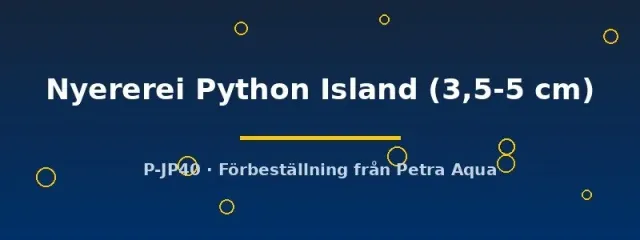 Haplochromis Nyererei ciklid Python Island 3,5–5 cm
