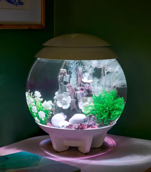 biOrb HALO 15 akvarium Cloudlight Meadow 15 liter