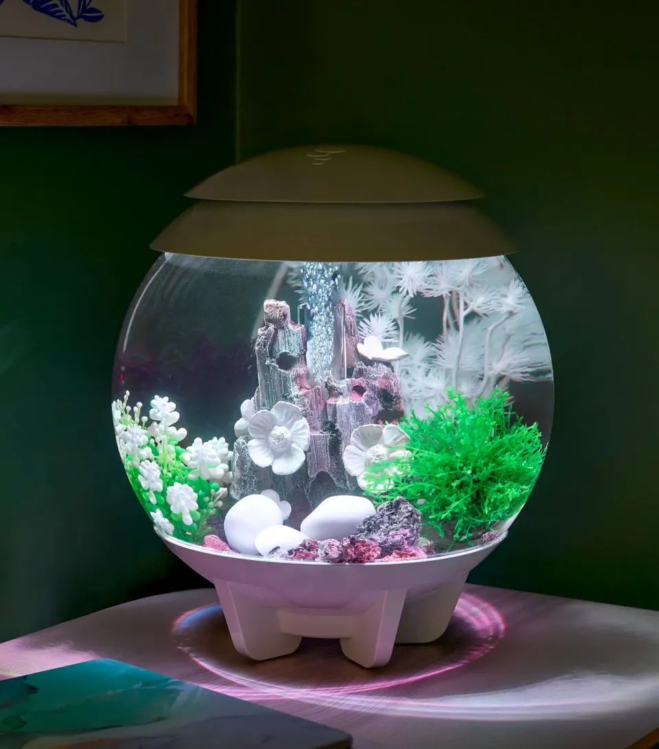biOrb HALO 15 akvarium Cloudlight Meadow 15 liter