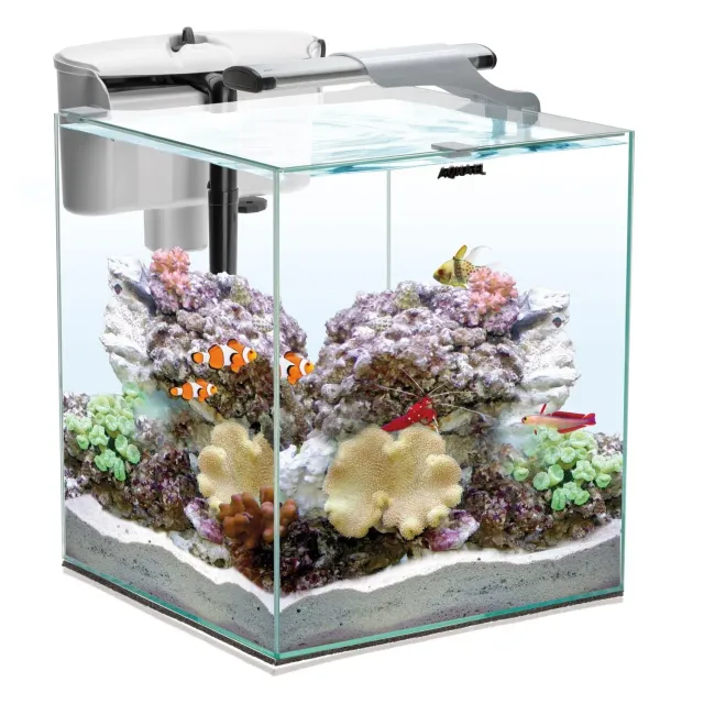 Näsets Ciklidhobby Nano Reef Duo saltvattensakvarium 49L
