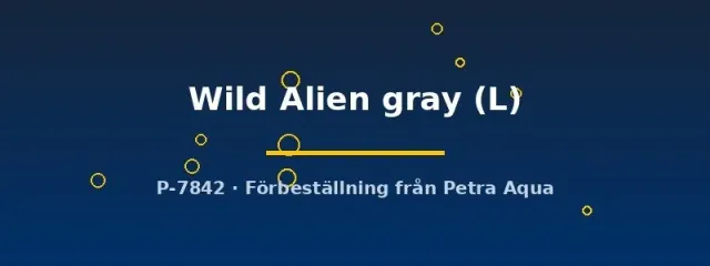 Näsets Ciklidhobby Betta Wild Alien Gray kampfisk L hane