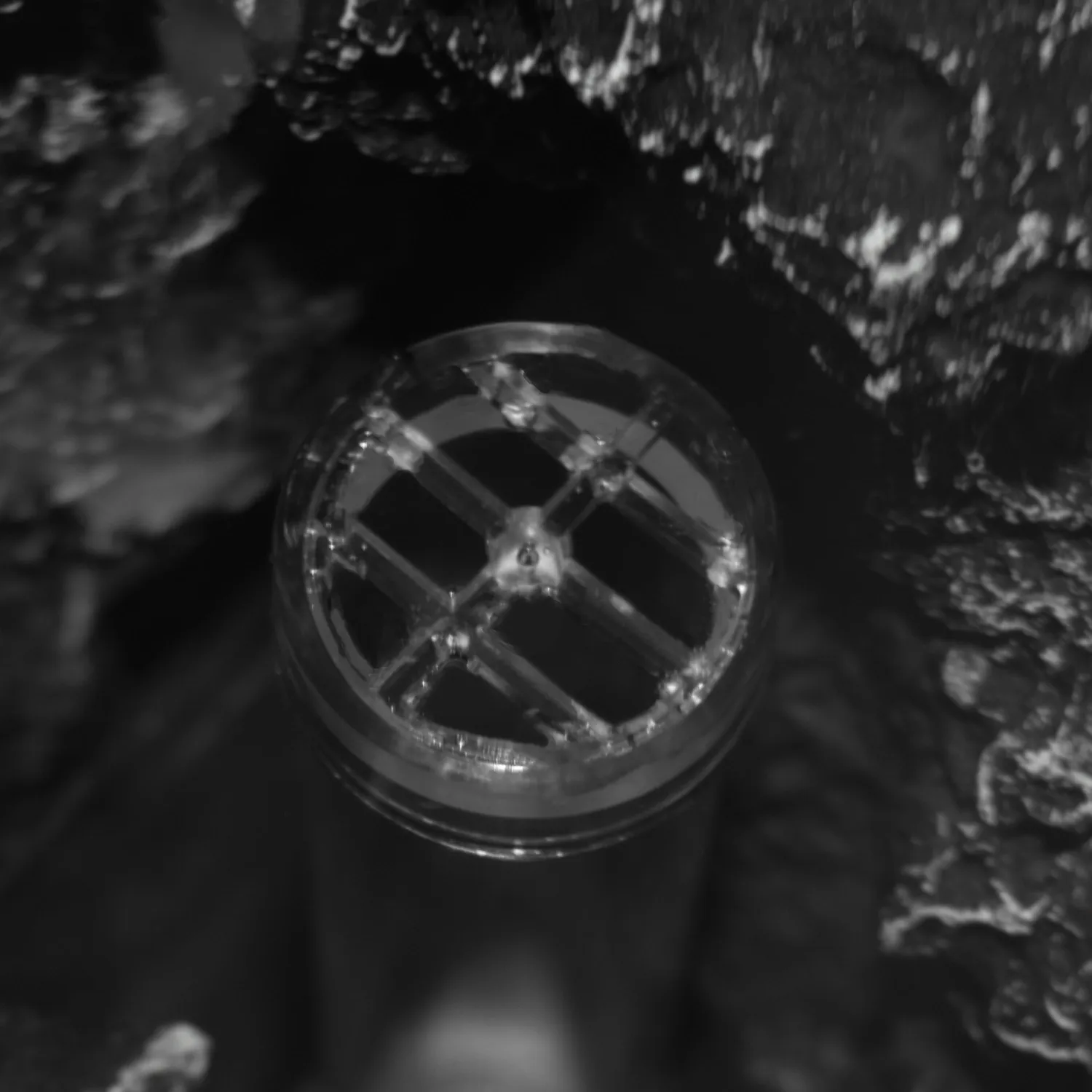 biOrb Bubble Tube Guard bubbelrörsskydd transparent